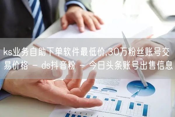 ks业务自助下单软件最低价,30万粉丝账