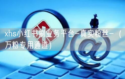xhs小红书刷业务平台-真实粉丝-（万粉