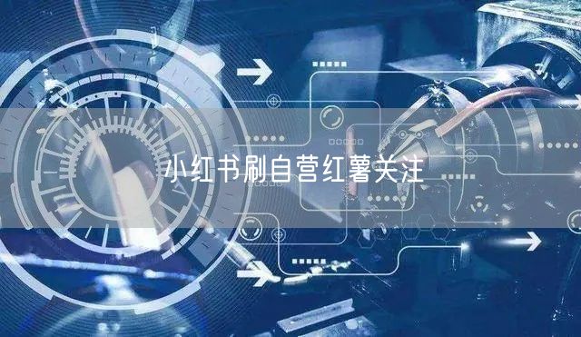 小红书刷自营红薯关注