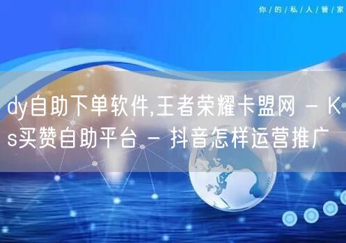dy自助下单软件,王者荣耀卡盟网 - K