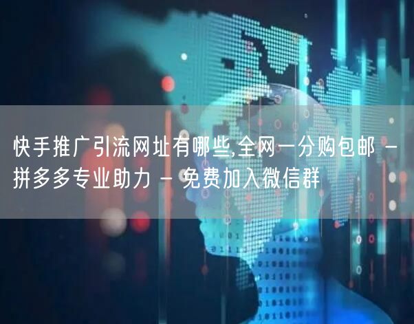 快手推广引流网址有哪些,全网一分购包邮 