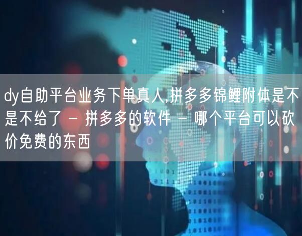 dy自助平台业务下单真人,拼多多锦鲤附体