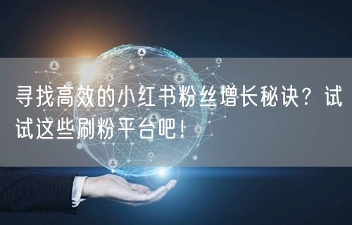 寻找高效的小红书粉丝增长秘诀？试试这些刷