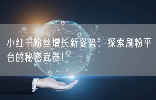 小红书粉丝增长新姿势：探索刷粉平台的秘密