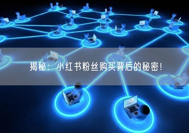 揭秘：小红书粉丝购买背后的秘密！