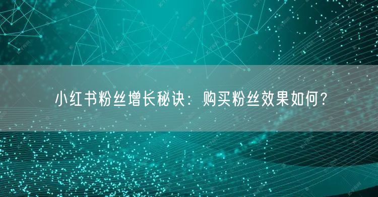 小红书粉丝增长秘诀：购买粉丝效果如何？