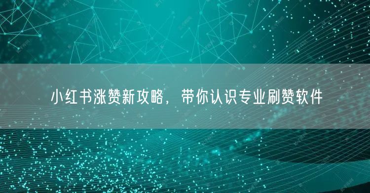 小红书涨赞新攻略，带你认识专业刷赞软件