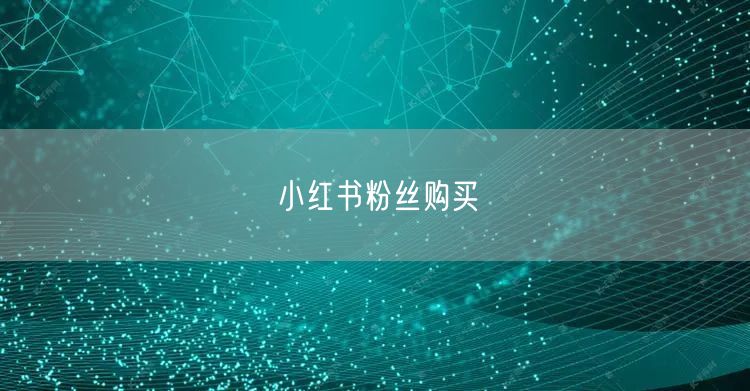 小红书粉丝购买