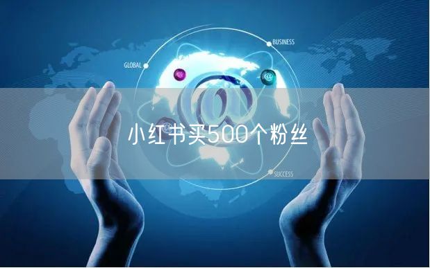 小红书买500个粉丝