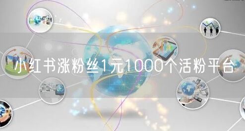 小红书涨粉丝1元1000个活粉平台