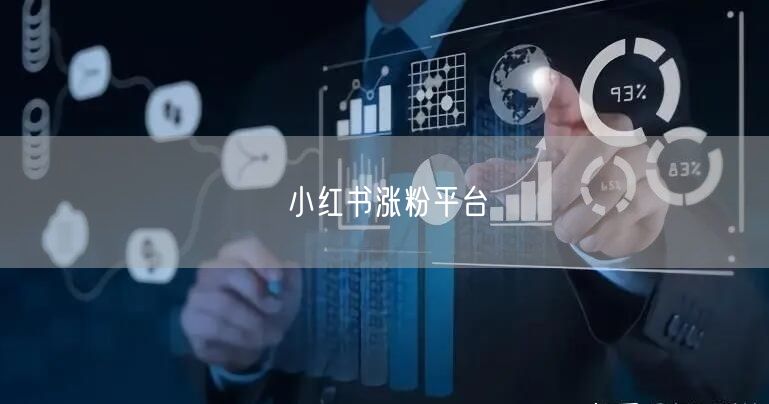 小红书涨粉平台