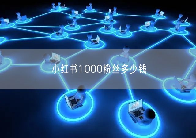 小红书1000粉丝多少钱
