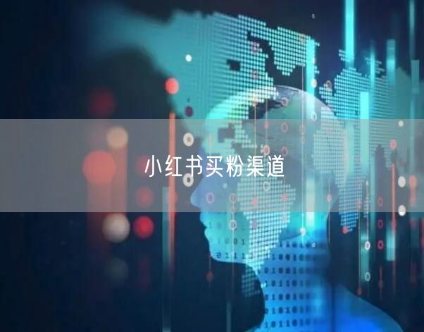 小红书买粉渠道