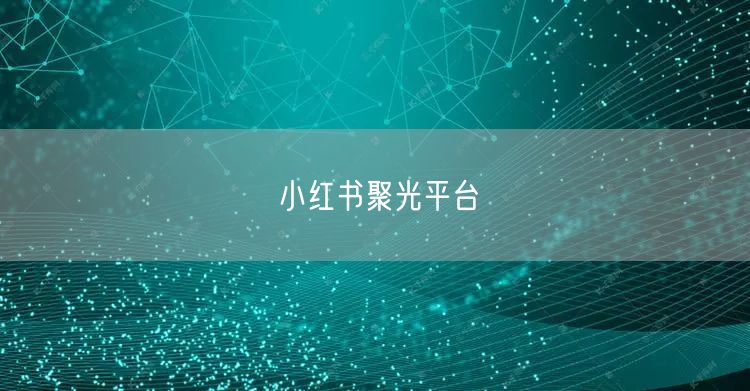 小红书聚光平台