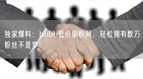 独家爆料：bilibili低价刷粉网，轻