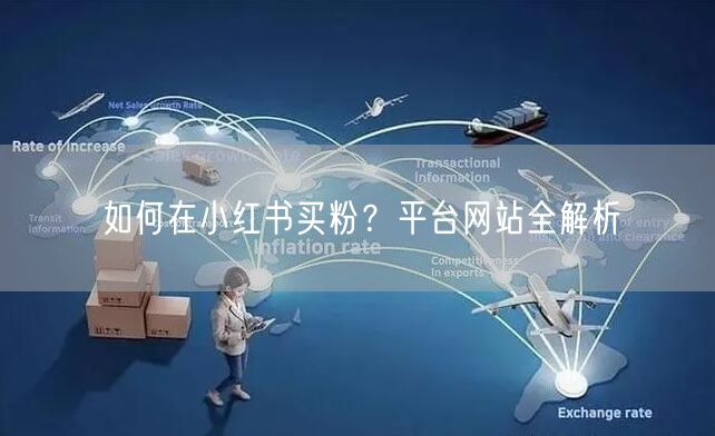 如何在小红书买粉？平台网站全解析