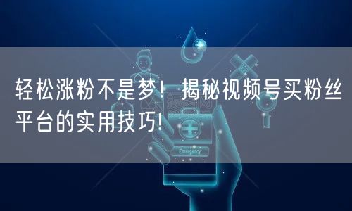 轻松涨粉不是梦！揭秘视频号买粉丝平台的实