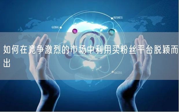 如何在竞争激烈的市场中利用买粉丝平台脱颖
