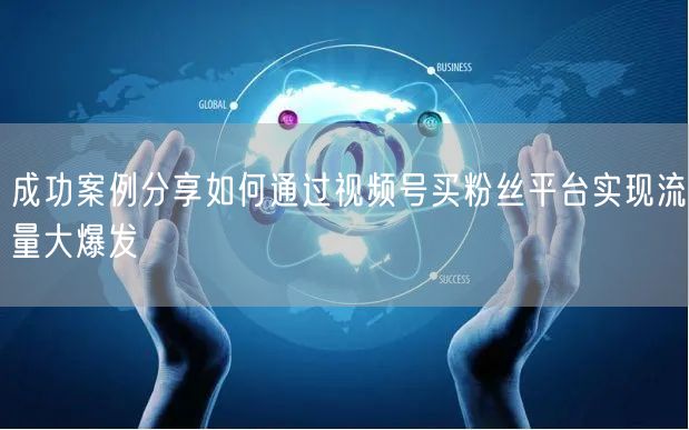 成功案例分享如何通过视频号买粉丝平台实现