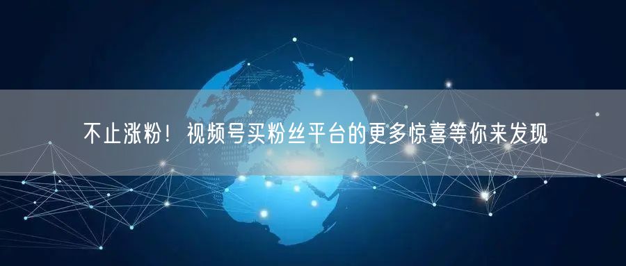 不止涨粉！视频号买粉丝平台的更多惊喜等你