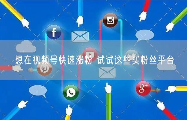 想在视频号快速涨粉 试试这些买粉丝平台