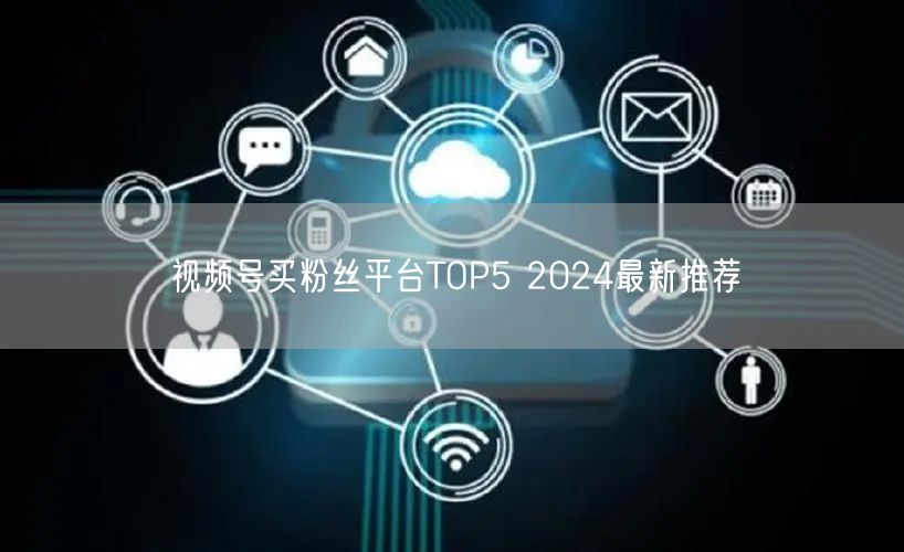 视频号买粉丝平台TOP5 2024最新推