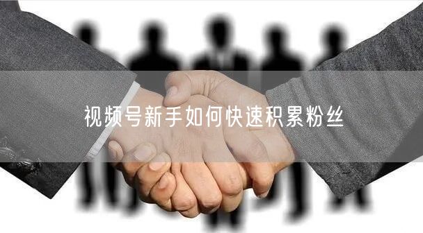 视频号新手如何快速积累粉丝