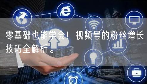 零基础也能学会！视频号的粉丝增长技巧全解