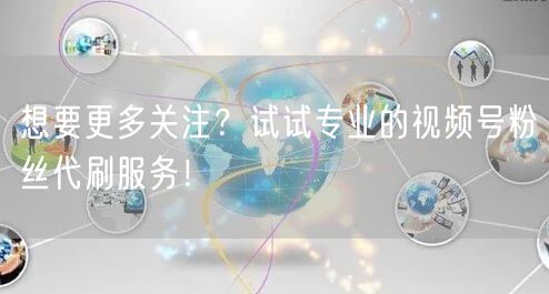 想要更多关注？试试专业的视频号粉丝代刷服