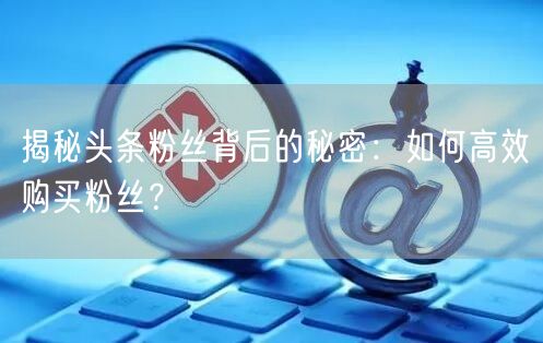 揭秘头条粉丝背后的秘密：如何高效购买粉丝