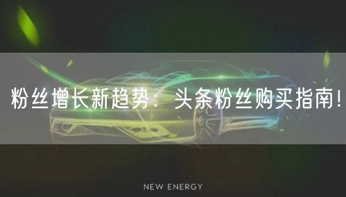 粉丝增长新趋势：头条粉丝购买指南！