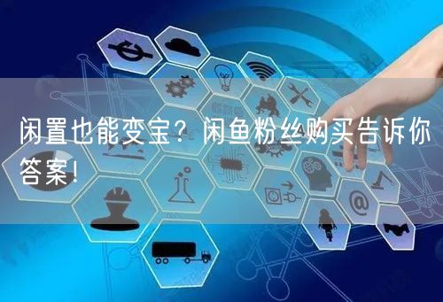 闲置也能变宝？闲鱼粉丝购买告诉你答案！