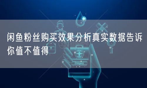 闲鱼粉丝购买效果分析真实数据告诉你值不值