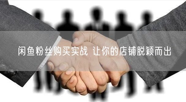 闲鱼粉丝购买实战 让你的店铺脱颖而出