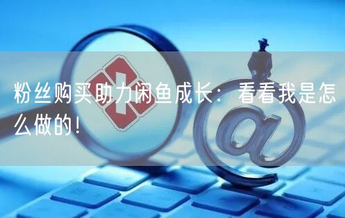 粉丝购买助力闲鱼成长：看看我是怎么做的！