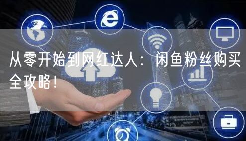 从零开始到网红达人：闲鱼粉丝购买全攻略！