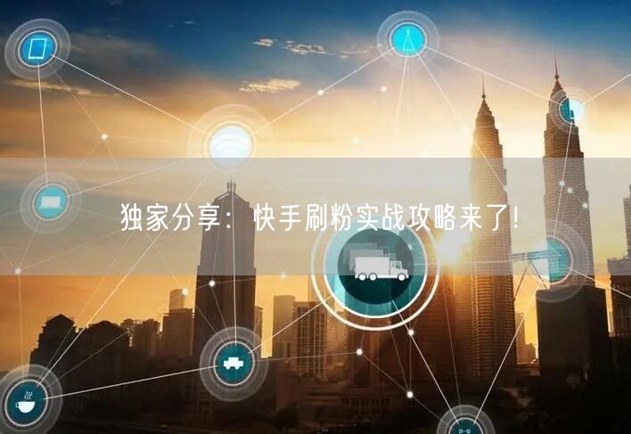 独家分享：快手刷粉实战攻略来了！