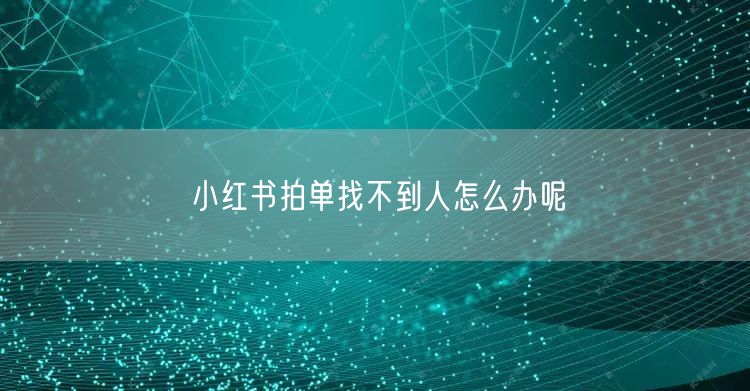 小红书拍单找不到人怎么办呢