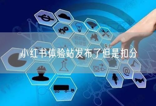 小红书体验站发布了但是扣分