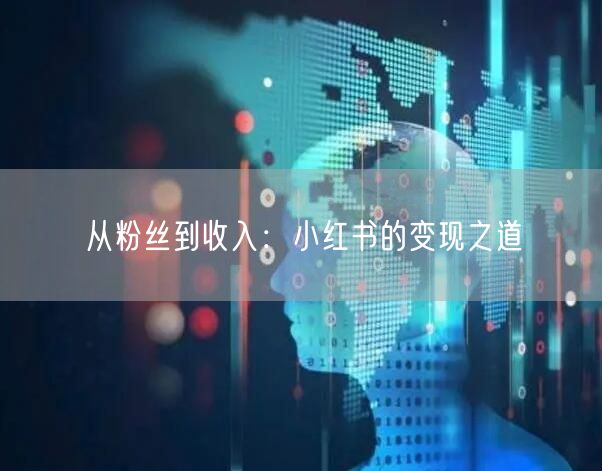 从粉丝到收入：小红书的变现之道